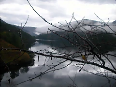 DSCN0306