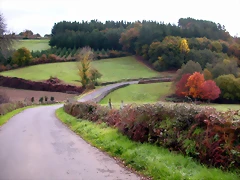 DSCN0107 DSCN0107