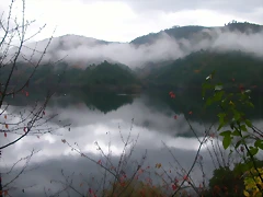 DSCN0308