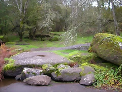 DSCN0124 DSCN0124