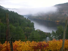 DSCN0312