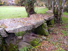 DSCN0117 DSCN0117