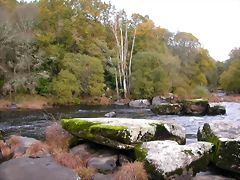DSCN0123 DSCN0123