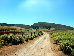 DSCN4593 DSCN4593