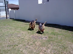 Imagen002 (2)