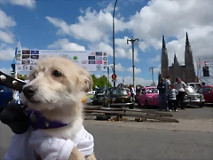 P1180834 P1180834