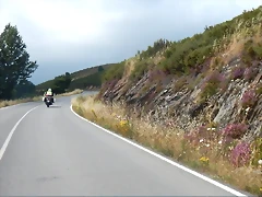 ruta