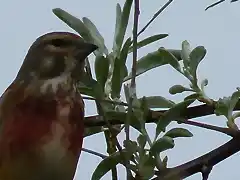 Pareja parque de Ocio (5)