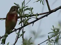 Pareja parque de Ocio (4)