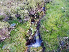 DSCN9497 DSCN9497