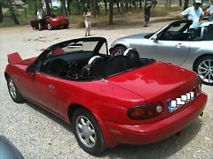 IMG_2821 IMG_2821
