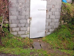 DSCN7333 DSCN7333