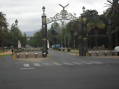 SDC11176 SDC11176