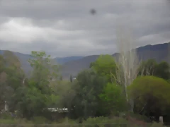 SDC11190 SDC11190