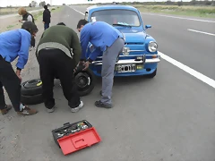 SDC11146 SDC11146