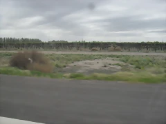 SDC11154 SDC11154