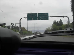 SDC11162 SDC11162