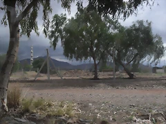 SDC11188 SDC11188