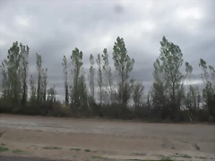 SDC11149 SDC11149