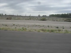 SDC11155 SDC11155