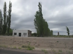 SDC11150 SDC11150