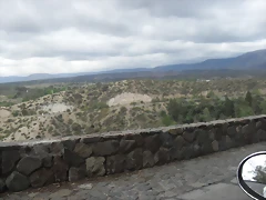 SDC11229 SDC11229