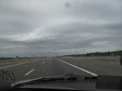 SDC11142 SDC11142