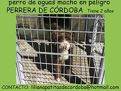 CÓRDOBA Cartel CÓRDOBA Cartel