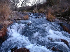 DSCN6701 DSCN6701