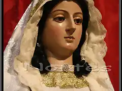 Rosa de San Antoln