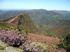 DSCF2569 DSCF2569
