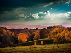 02408_burningautumn_1920x1080