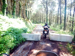 DSCN5854