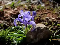 10, semana santa en la naturaleza, marca 2