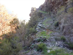 DSCN9126 DSCN9126