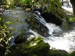 DSCN2840 DSCN2840