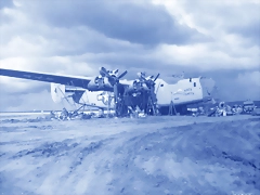 42-40654-B-24D-Liberator-9AF-98BG344BS-R-Kate-Smith-nose-art-right-side-Bengasi-Cirenaica-Libya-1st-Nov-1943-NA221 42-40654-B-24D-Liberator-9AF-98BG344BS-R-Kate-Smith-nose-art-right-side-Bengasi-Cirenaica-Libya-1st-Nov-1943-NA221