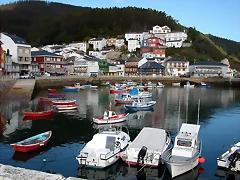 DSCN9313 DSCN9313