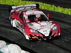dscn19802 dscn19802