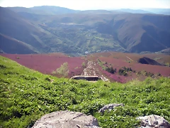 DSCN5114 DSCN5114