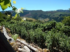 DSCN3935 DSCN3935