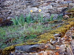 DSCN9186