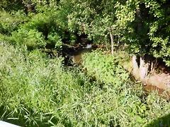 DSCN2378 DSCN2378
