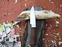 DSCF1293 DSCF1293
