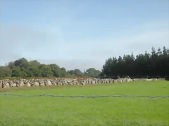 DSCN9740 DSCN9740