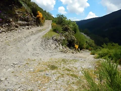 DSCN1198 DSCN1198