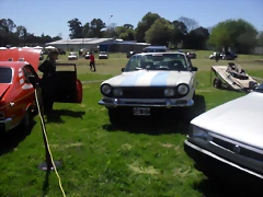 SDC13633 SDC13633
