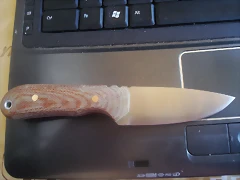 DSC07159