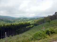 DSCN5921 DSCN5921