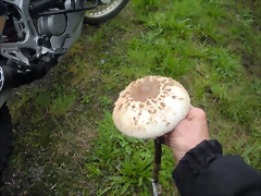 DSCN9111 DSCN9111